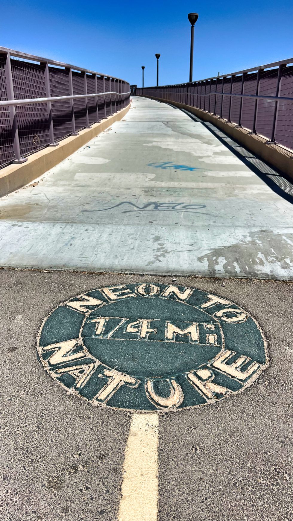 Broad Acres Swap Meet North Las Vegas Not Leaving Las Vegas